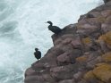 2019-09-25 11-32-17 Pointe du Cap Frehel MBo
